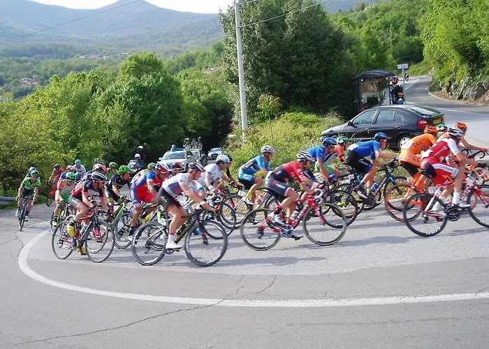 Harmonia Вилла Опатия